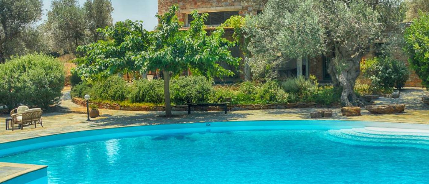 ΑΠΟΛΥΜΑΝΣΗ ΠΙΣΙΝΑΣ. Μια πισίνα μπετόν ελευθέρου σχήματος